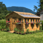 Cedarshed Sunshed 12' x 12' Western Red Cedar Garden Greenhouse Shed - Image 3